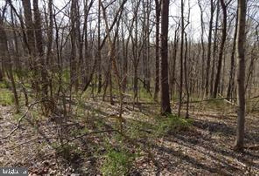 Build your dream vacation cabin on this 2.08 wooded acres. Or your permanent residence.  Desirable area of Berkley Springs, WV. Property has been perked for 3 Bedroom septic system. Bring your building plans and start making family memories in the country. Priced at $30,000.. Additional parcels available. Call today for more information.