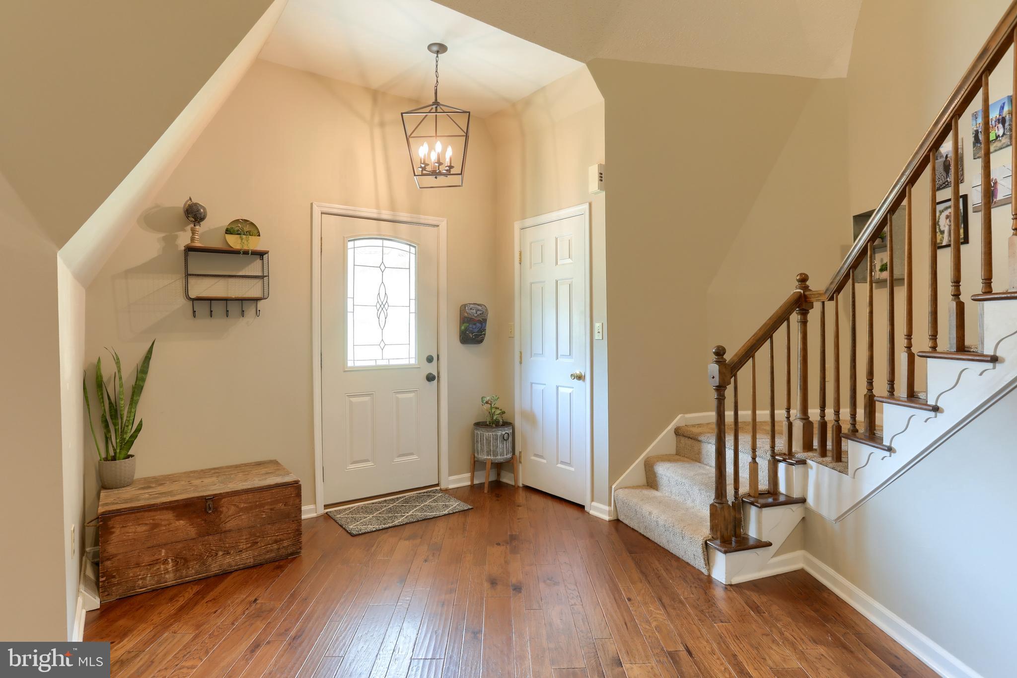 3 DENNIS DRIVE