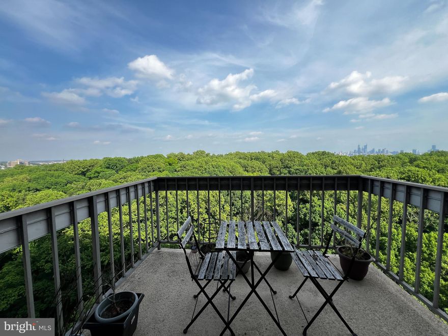 Large 1 bedroom apartment around city avenue. Has deck with beautiful Fairmont park and city skyline. High at 15th fl, with big windows, French door to give you all the sunlight you need. Living room is very big, connected with dinning area, kitchen and plenty of closet for storage. Bathroom has tub/shower and washer/drier. Bedroom is large, with big window and great view. 
Door man 24/7, you will never miss a package. 
All utilities included in condo fee.