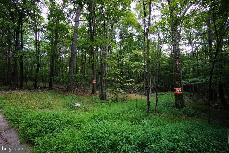 Beautiful wooded lots. Great for hunting or camp. Property is adjacent to state game lands and contains 2 springs and a stream. Recently surveyed. Well marked with pins and trees. 5-10 minute walk to 1000 Steps.