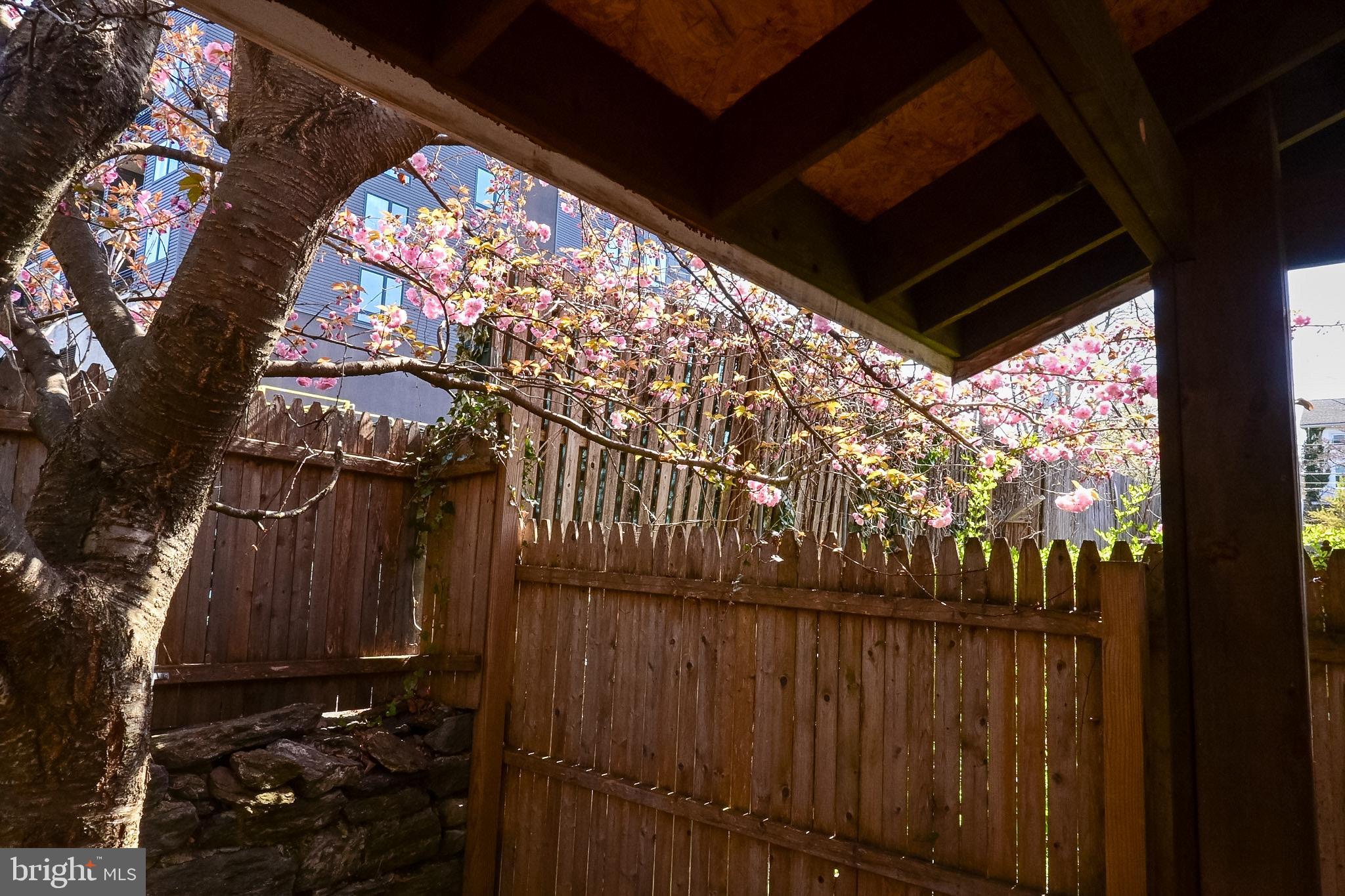 MT AIRY (WEST) - Residential