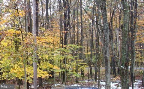 Vacant Land For Sale - 604/605 Wagner Way<br/> POCONO LAKE, PA 18347