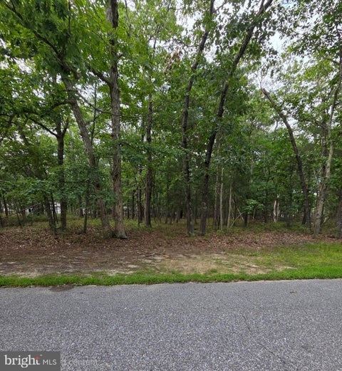 Vacant Land For Sale - 643 Avenue C<br/> Burlington County, SOUTHAMPTON, NJ 08088
