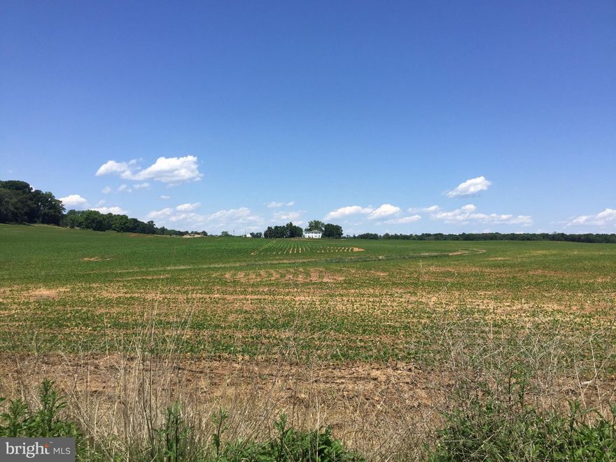 528.10 acres in 2 adjoining properties New survey on Turkey Ridge parcels had additional 15 acres, 7 Tax map parcels:  7903-12-0658; 7903-22-4502; 7903-24-5454; 6993-52-2616; 6993-52-3737; 6993-73-3922; 6993-92-3603.  NO EASEMENTS, SUBDIVISION POTENTIAL - these two farms can be split into two again and sold as Meetze Farm with 249acres for $2.5million OR Turkey Run with 278 acres for $2.0million. Located 2 miles from Town of Warrenton.  Shop/equipment buildings in excellent condition. Elec & well water on site. 2  houses sold "as is"