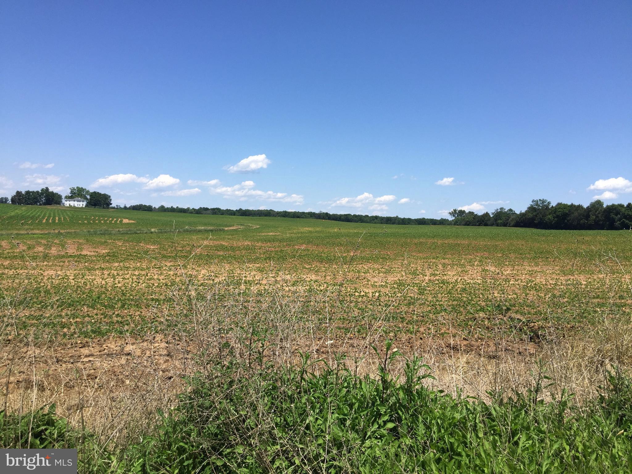 NONE AVAILABLE - Land