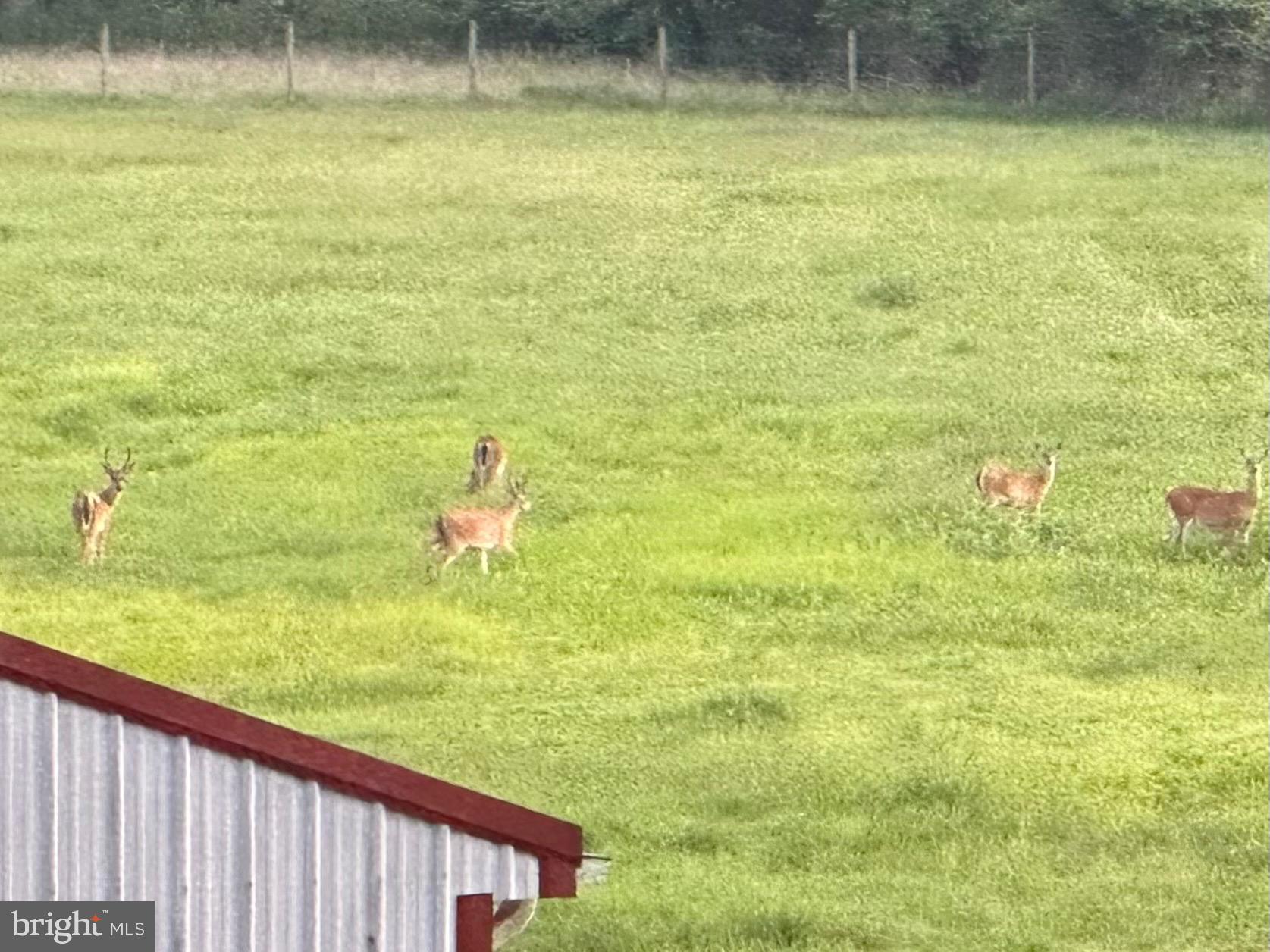 KINGS GRANT - Residential