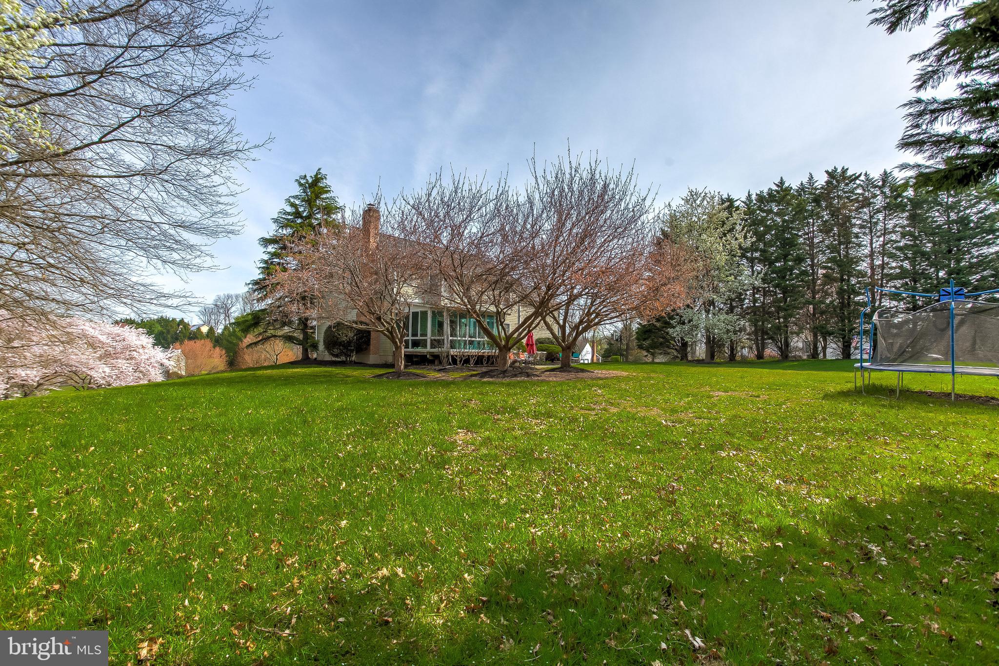 RUTH RODGERS - Residential