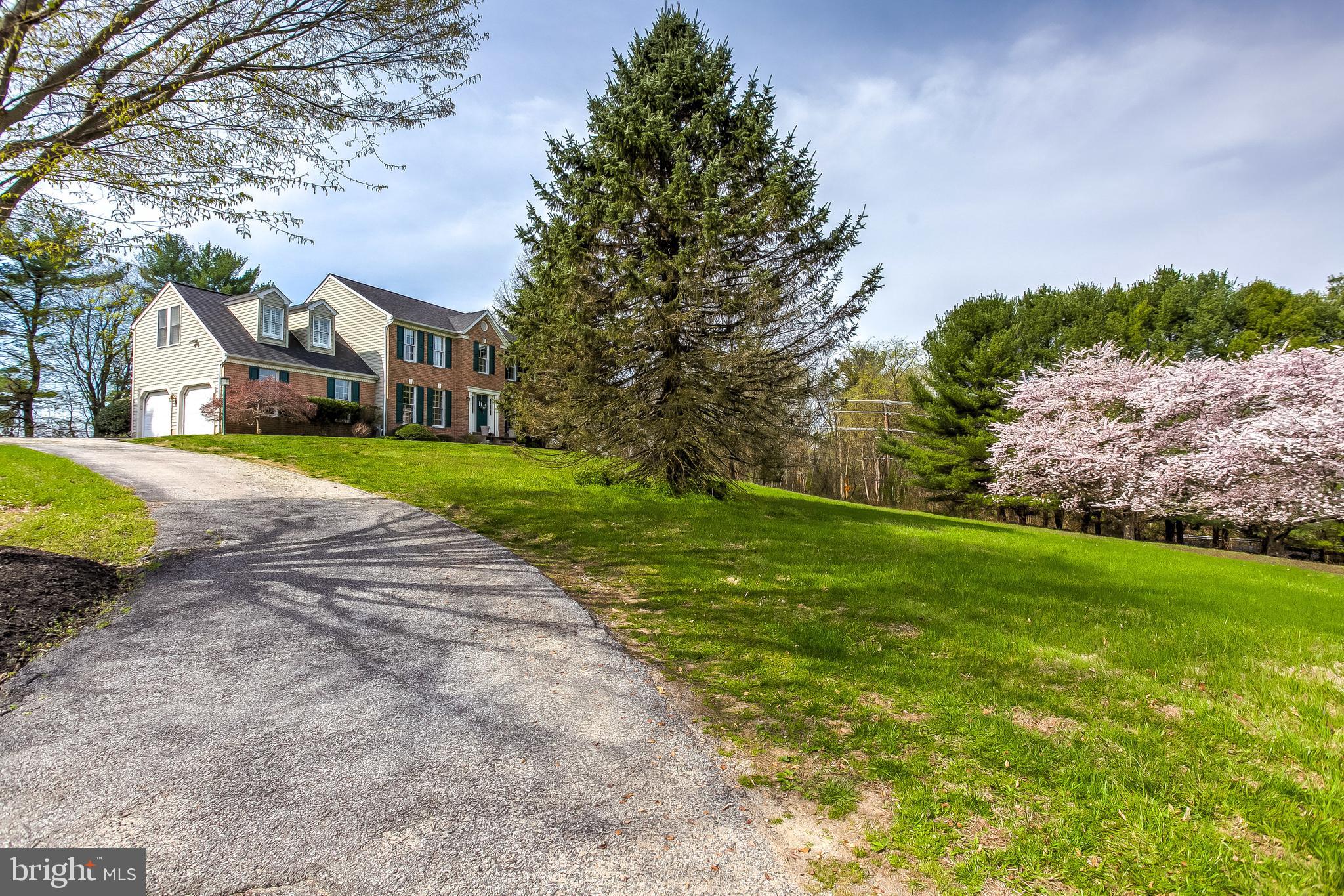 RUTH RODGERS - Residential