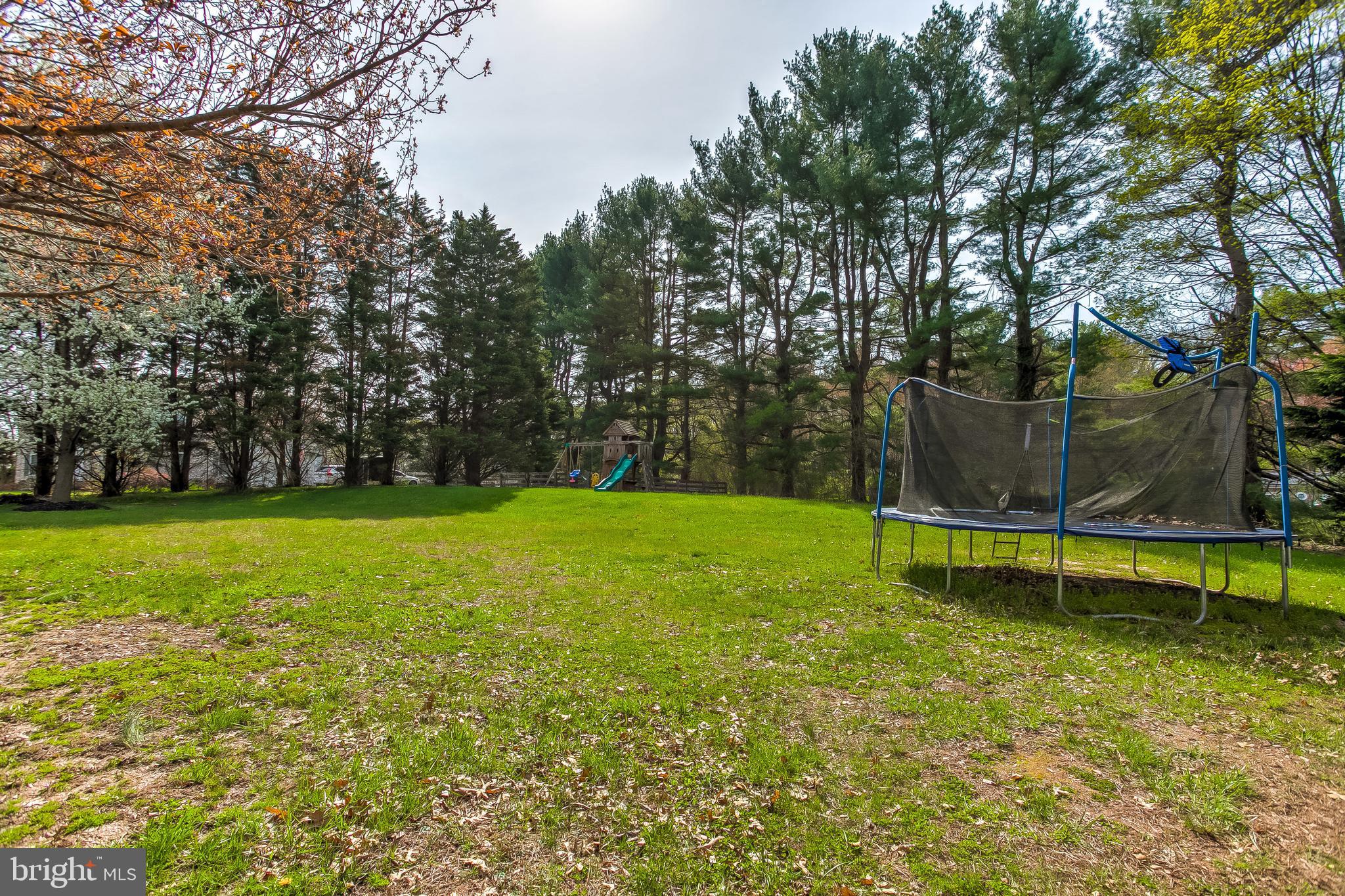 RUTH RODGERS - Residential