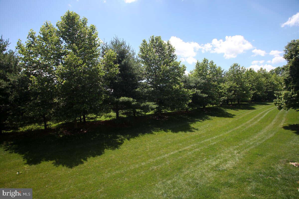 SUMMER HILL - Residential Lease