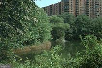 ROTONDA - Residential Lease