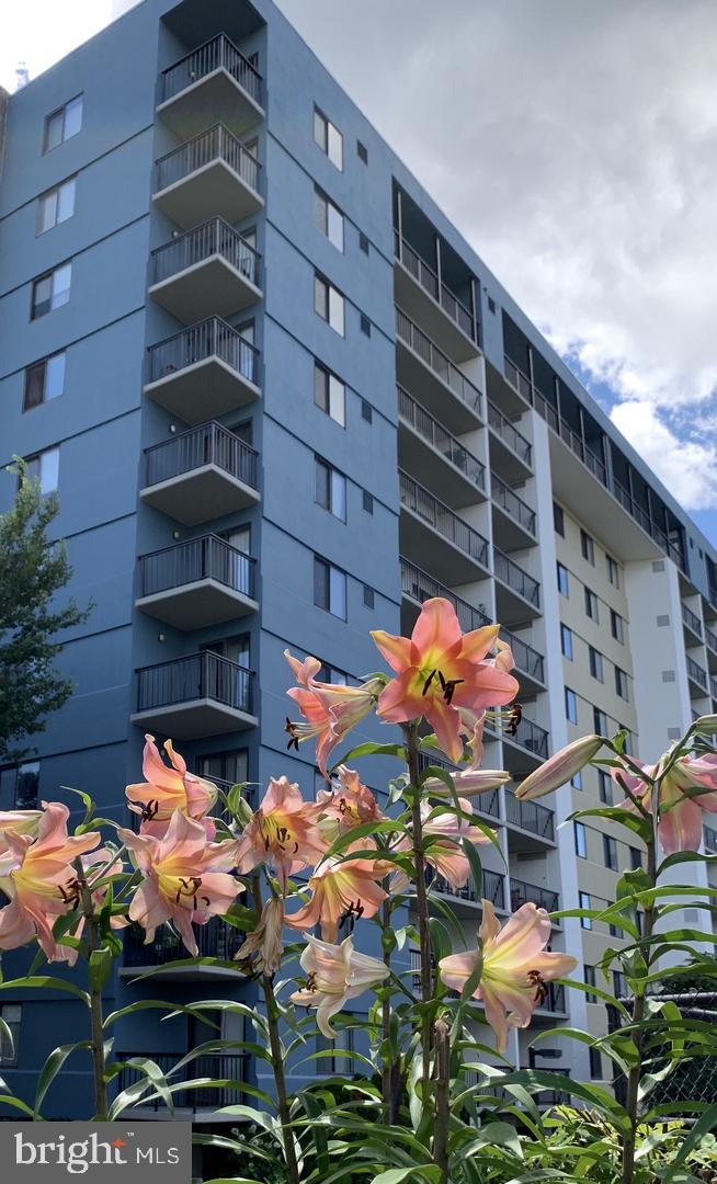 LAKESIDE PLAZA - Residential