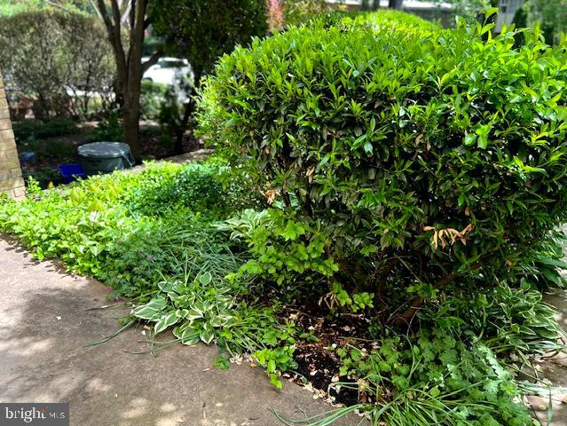 4420 FOREST GLEN COURT