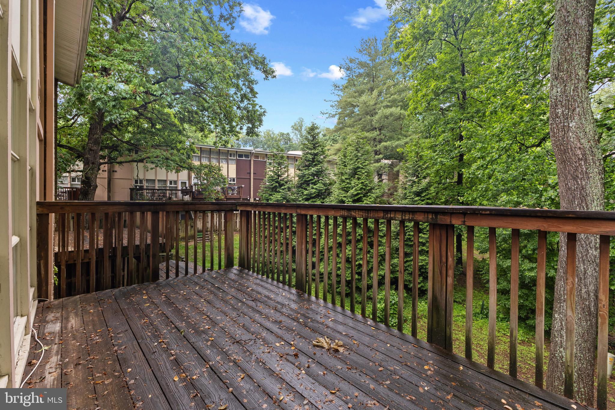 4420 FOREST GLEN COURT