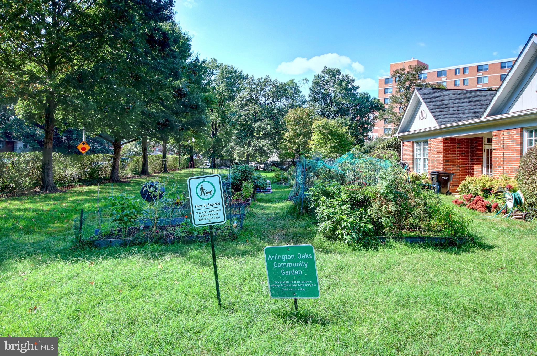 ARLINGTON OAKS - Residential Lease