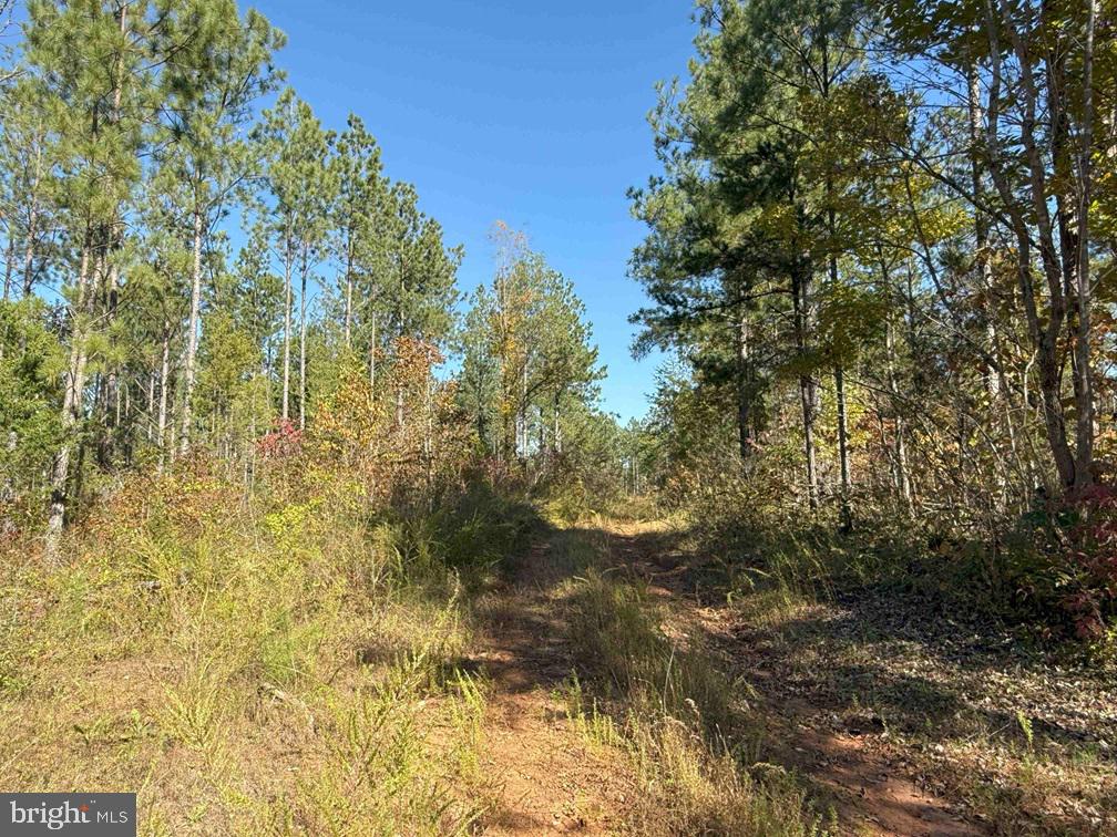 WOODFORK ROAD (RT. 650) (TRACT ROGERS-4)