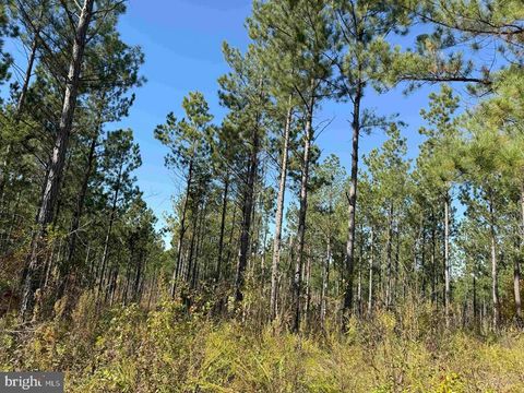 Vacant Land For Sale - Woodfork Road (rt. 650) (tract Rogers-4)<br/> Charlotte County, CHARLOTTE COURT HOUSE, VA 23923