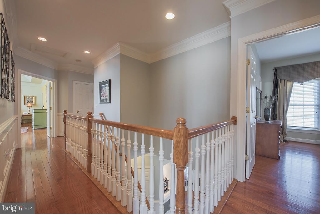 CHESTNUT HILLS - Residential