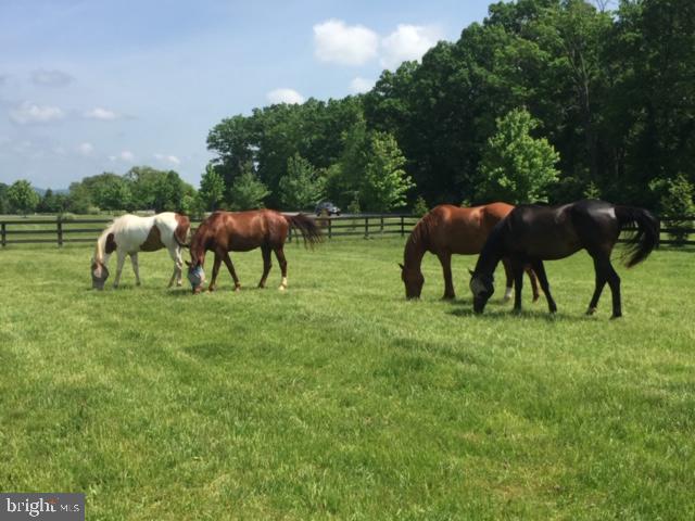 CHESTNUT HILLS - Residential