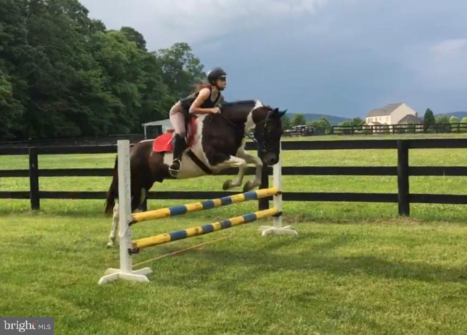 CHESTNUT HILLS - Residential