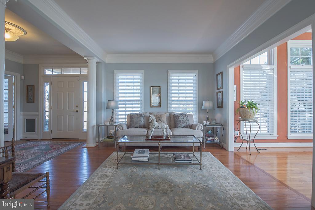 CHESTNUT HILLS - Residential