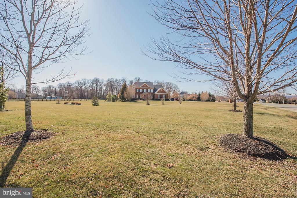 CHESTNUT HILLS - Residential