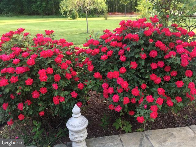 CHESTNUT HILLS - Residential