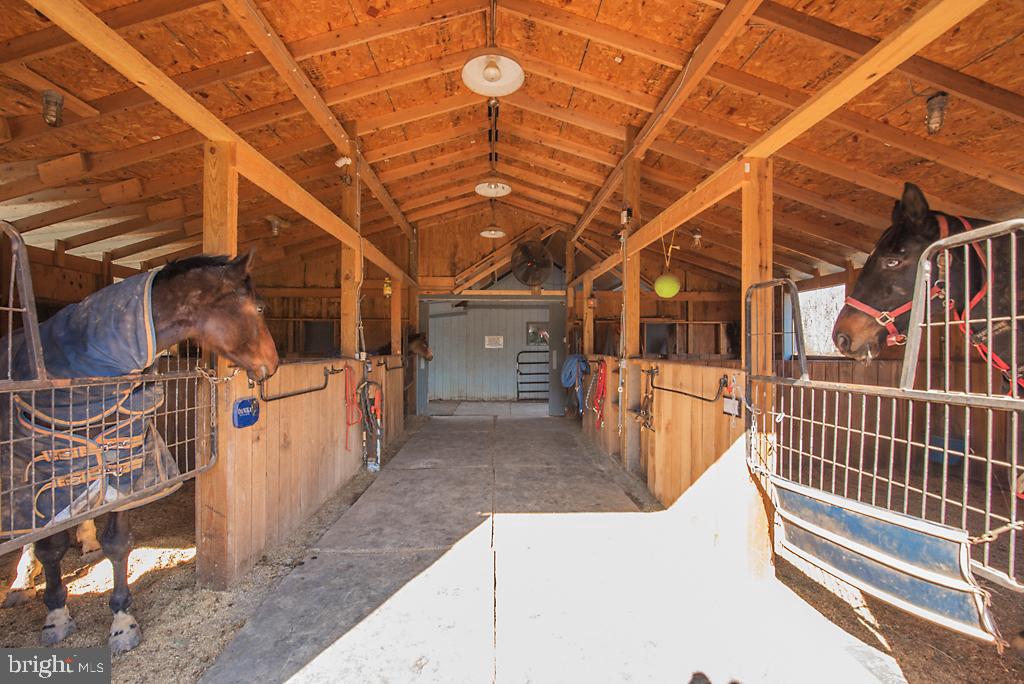 CHESTNUT HILLS - Residential