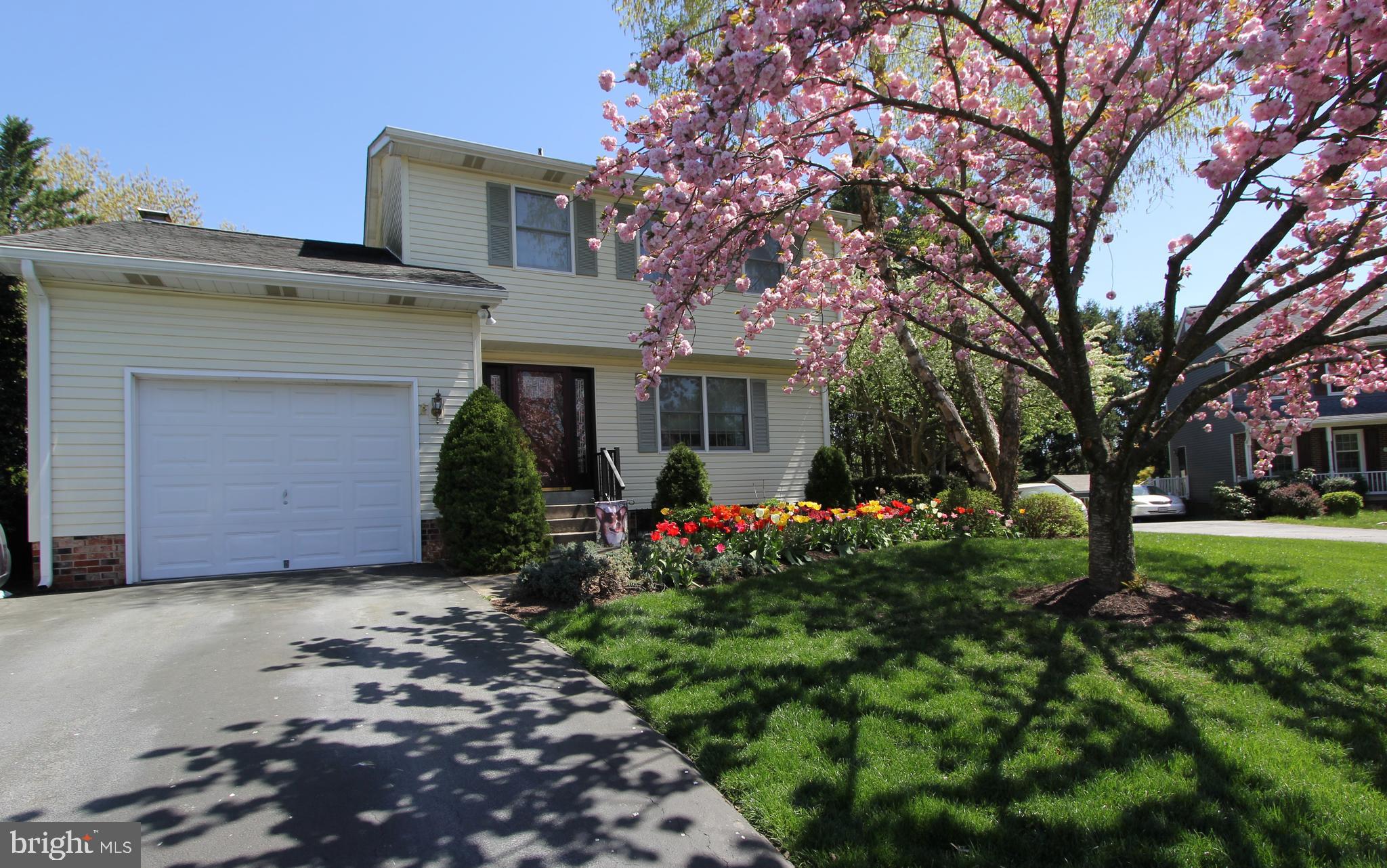 CLOVER HILL - Residential