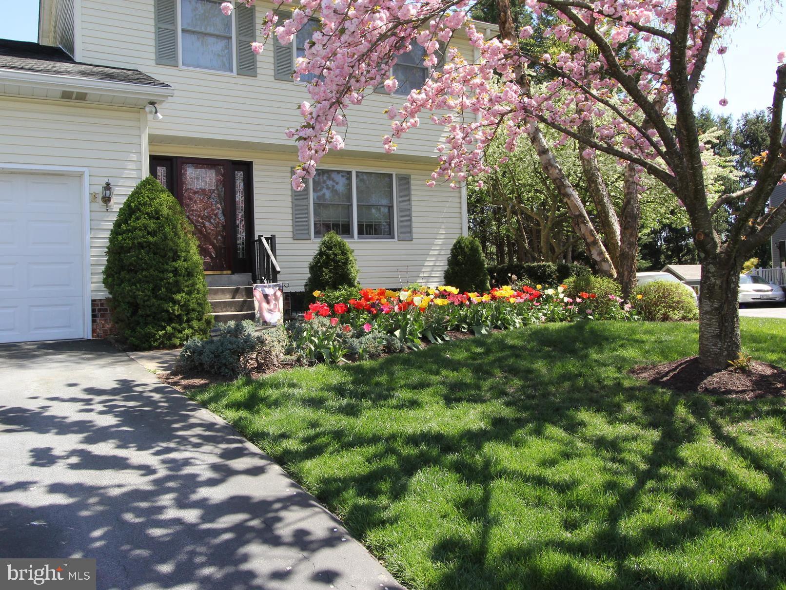 CLOVER HILL - Residential