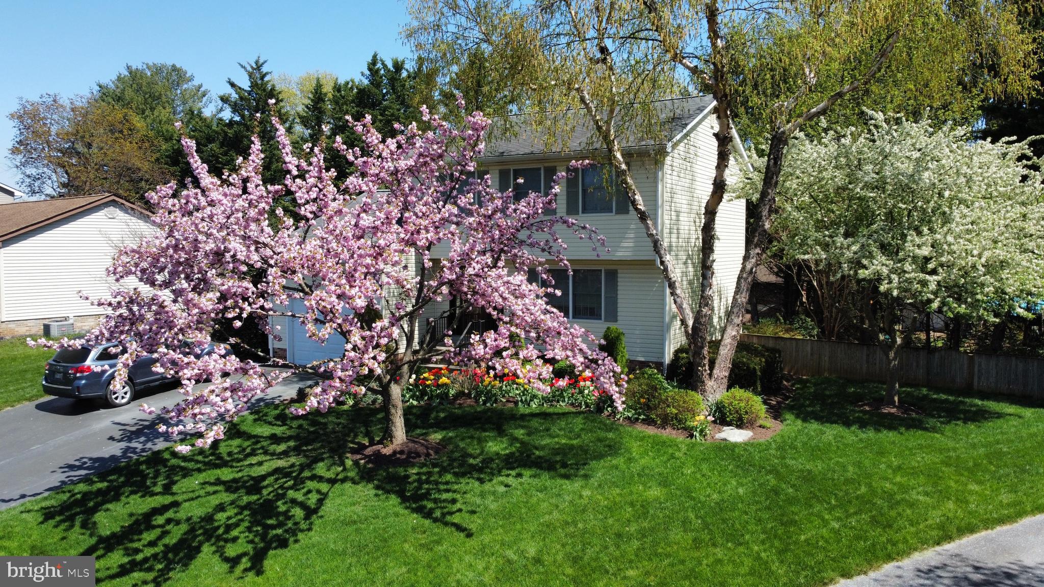 CLOVER HILL - Residential