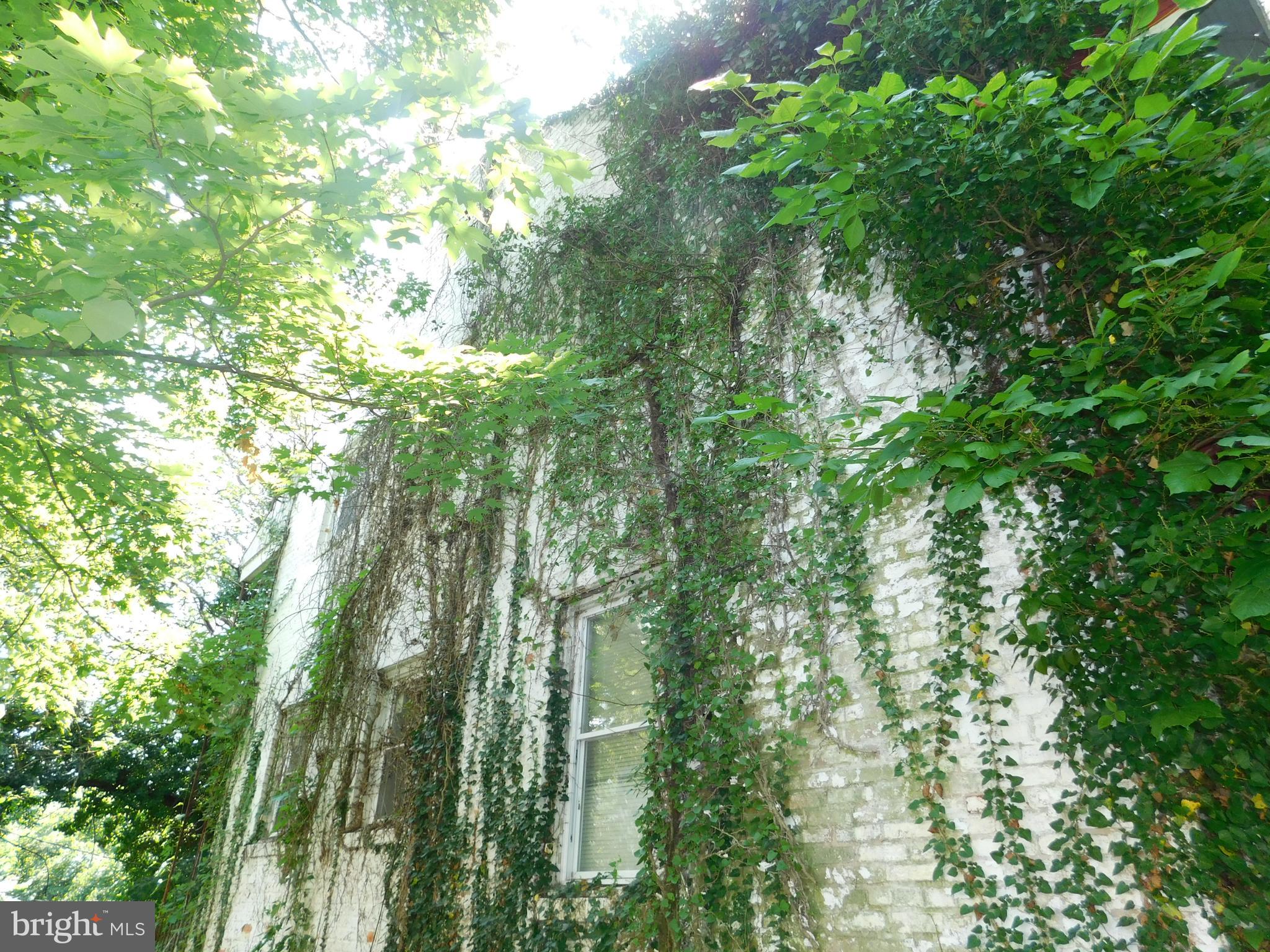 ASHBURTON - Residential