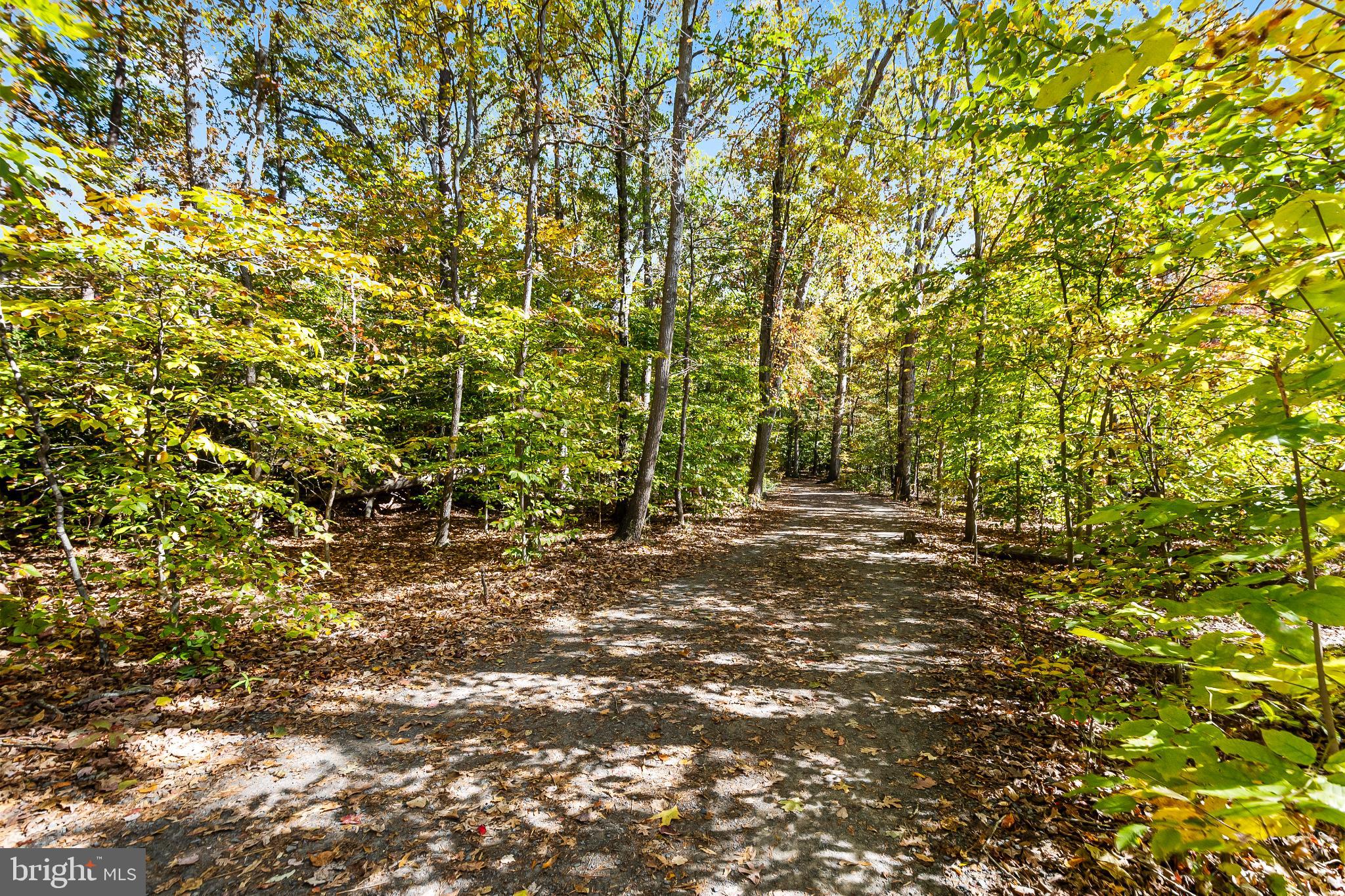 BURKE CENTRE - Residential