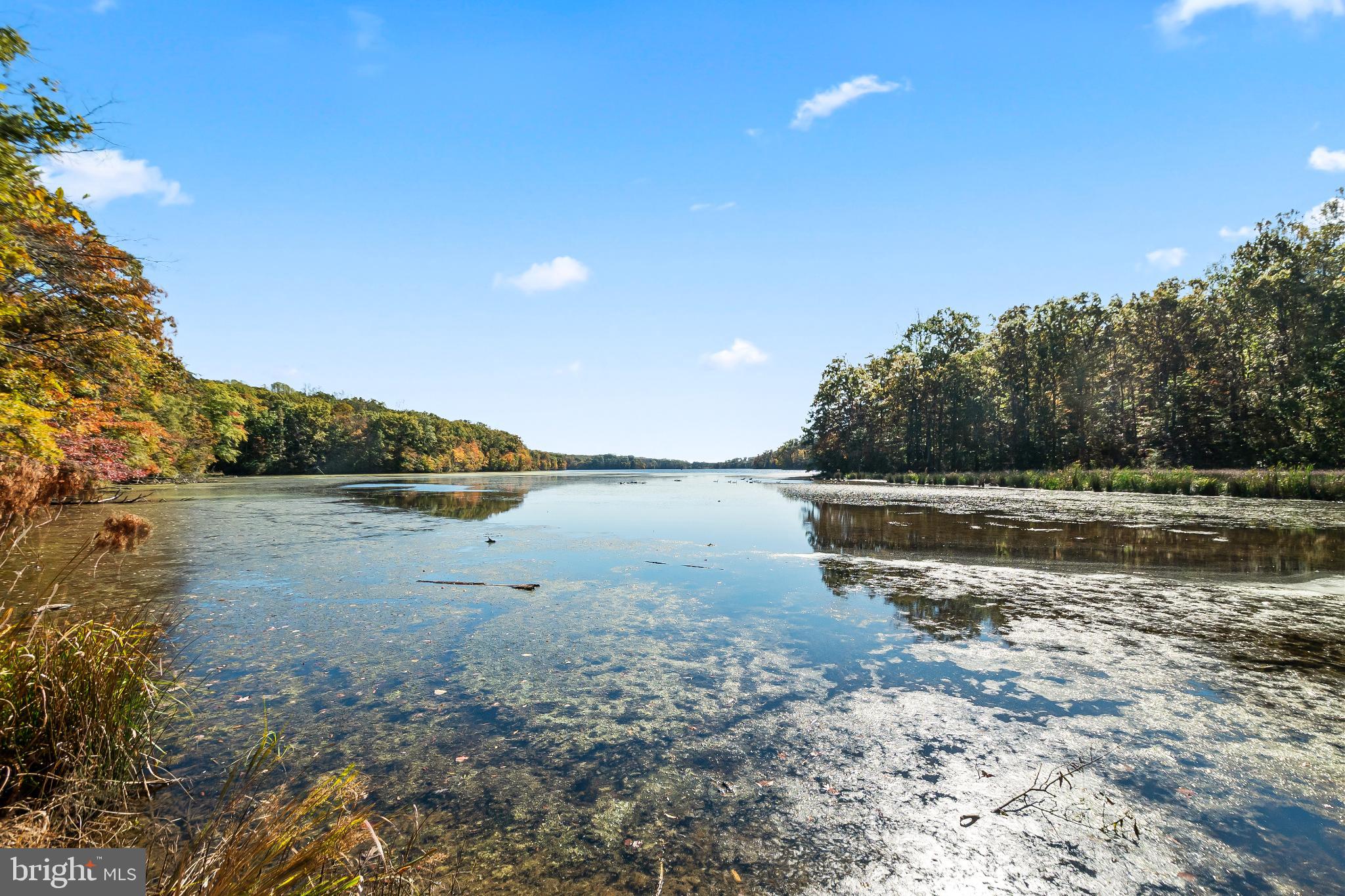 BURKE CENTRE - Residential