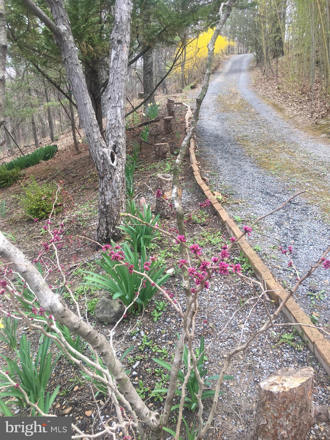 SUNSET RIDGE - Residential