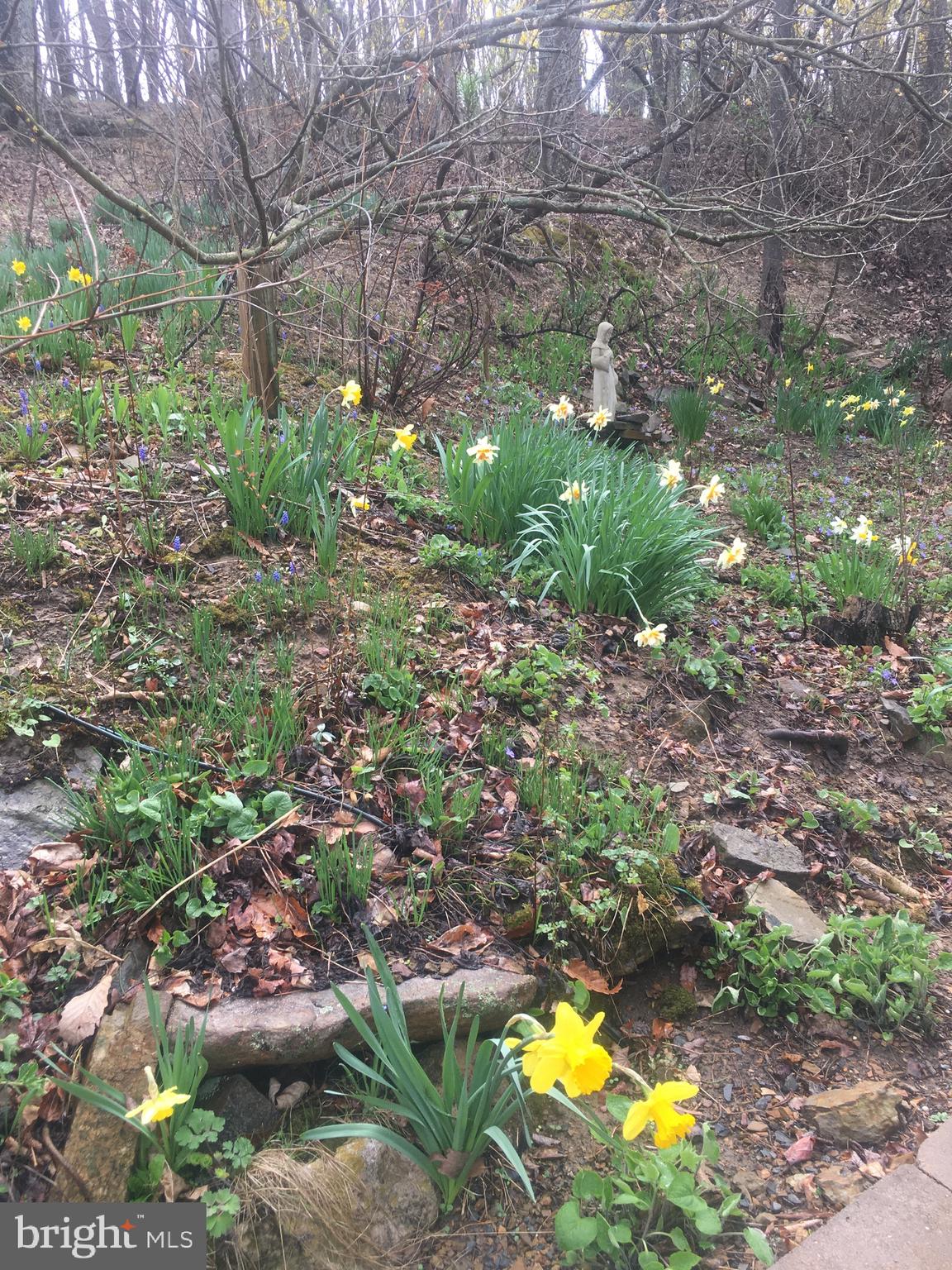 SUNSET RIDGE - Residential