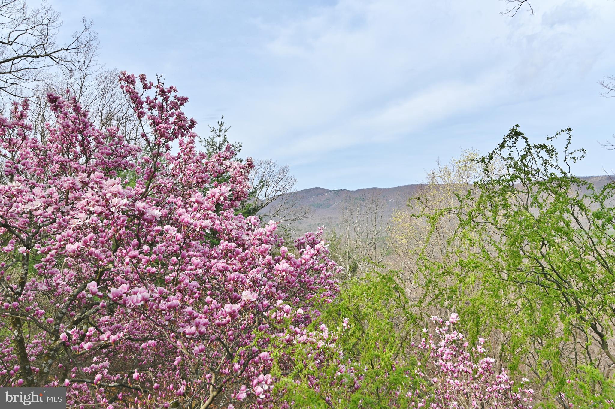 SUNSET RIDGE - Residential