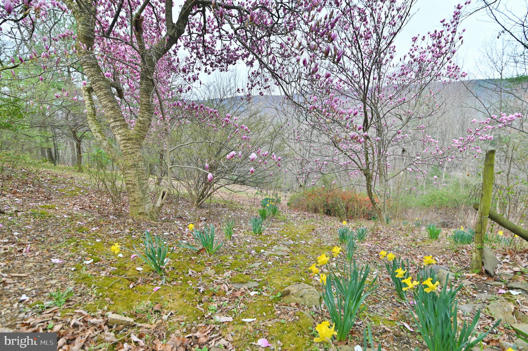 SUNSET RIDGE - Residential