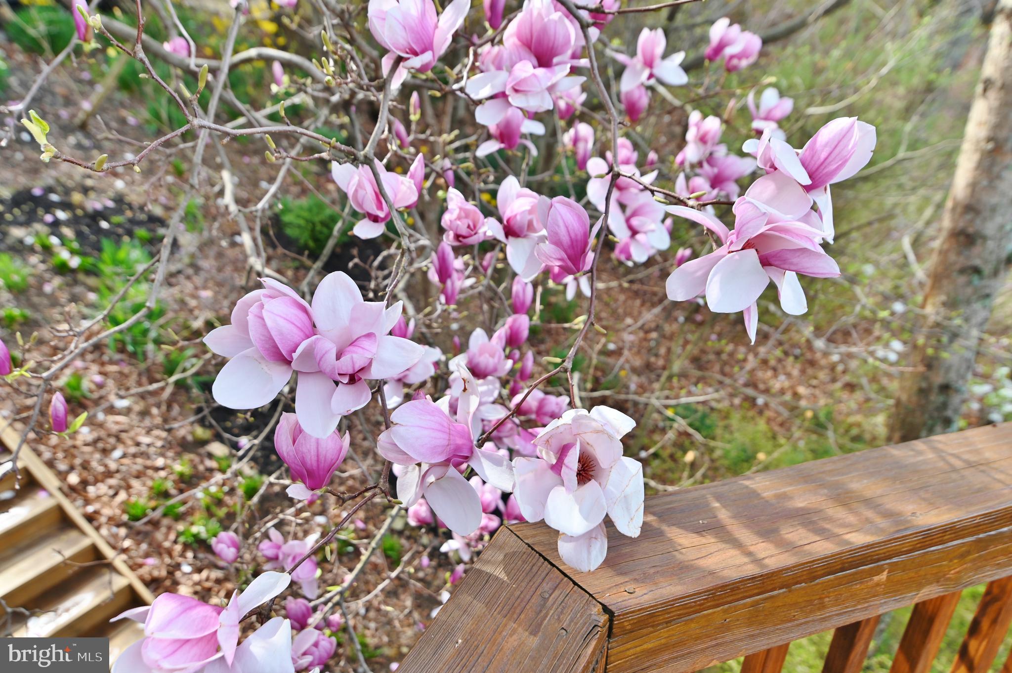 SUNSET RIDGE - Residential