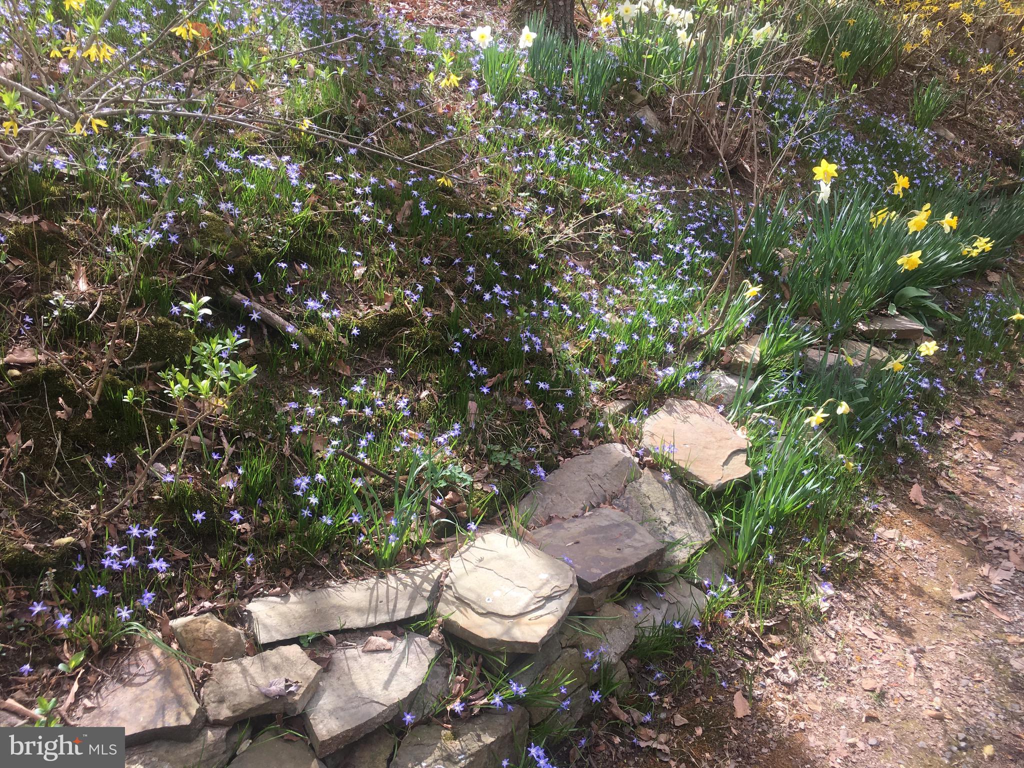 SUNSET RIDGE - Residential