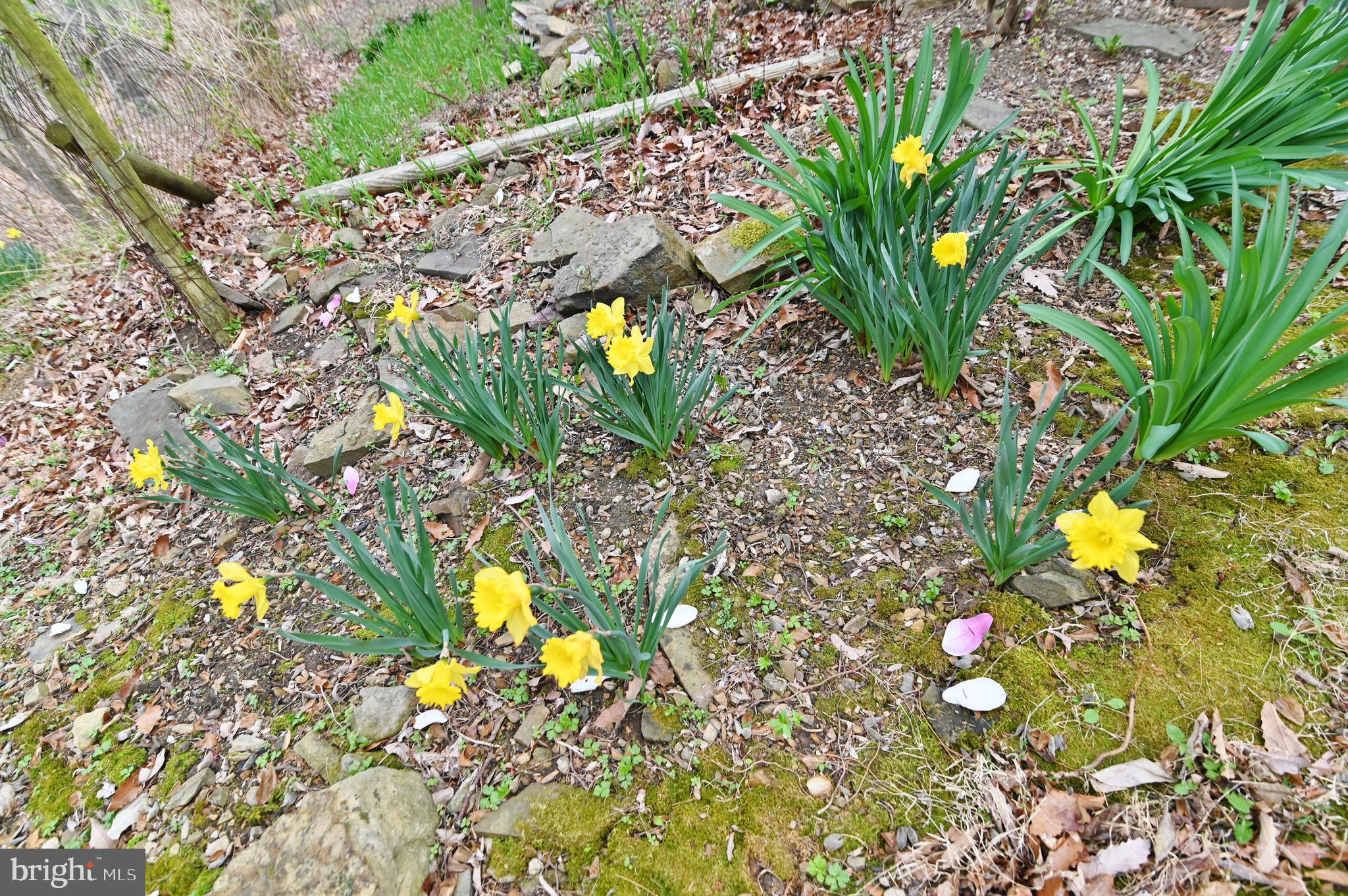 SUNSET RIDGE - Residential