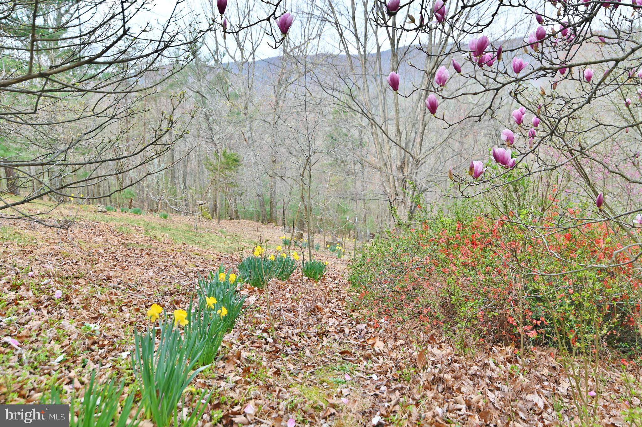 SUNSET RIDGE - Residential