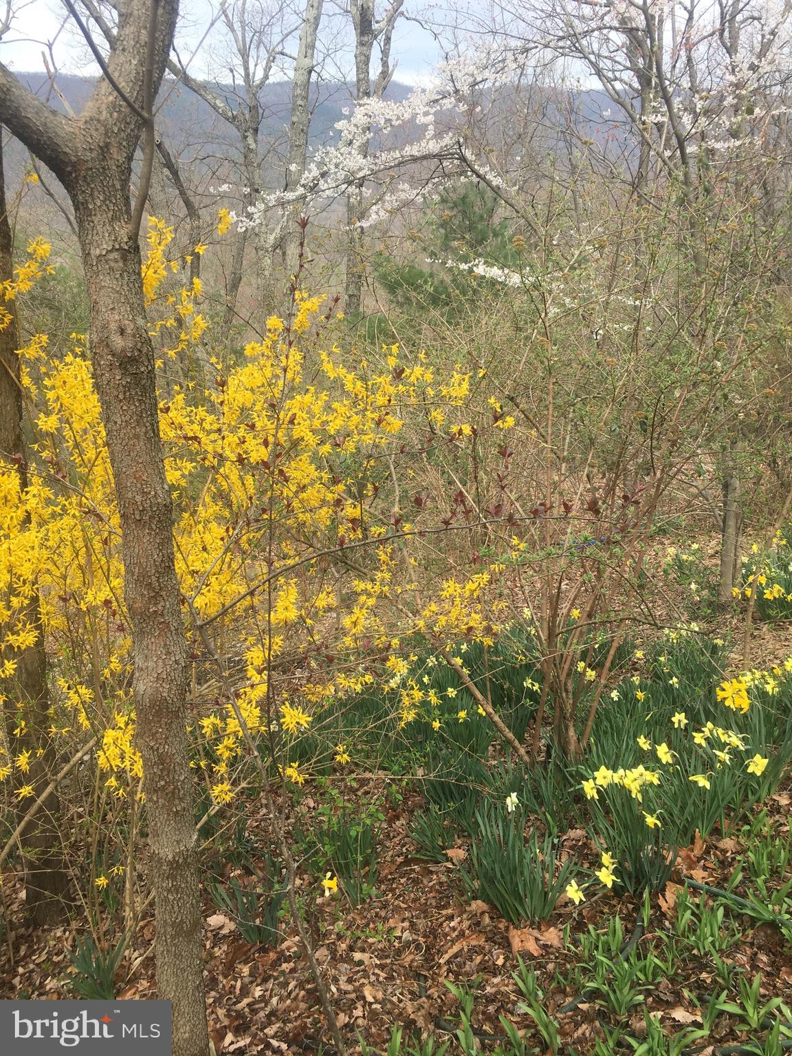 SUNSET RIDGE - Residential