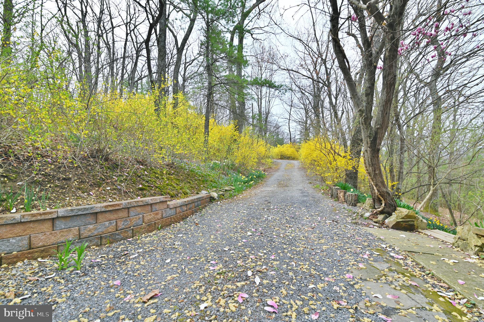 SUNSET RIDGE - Residential