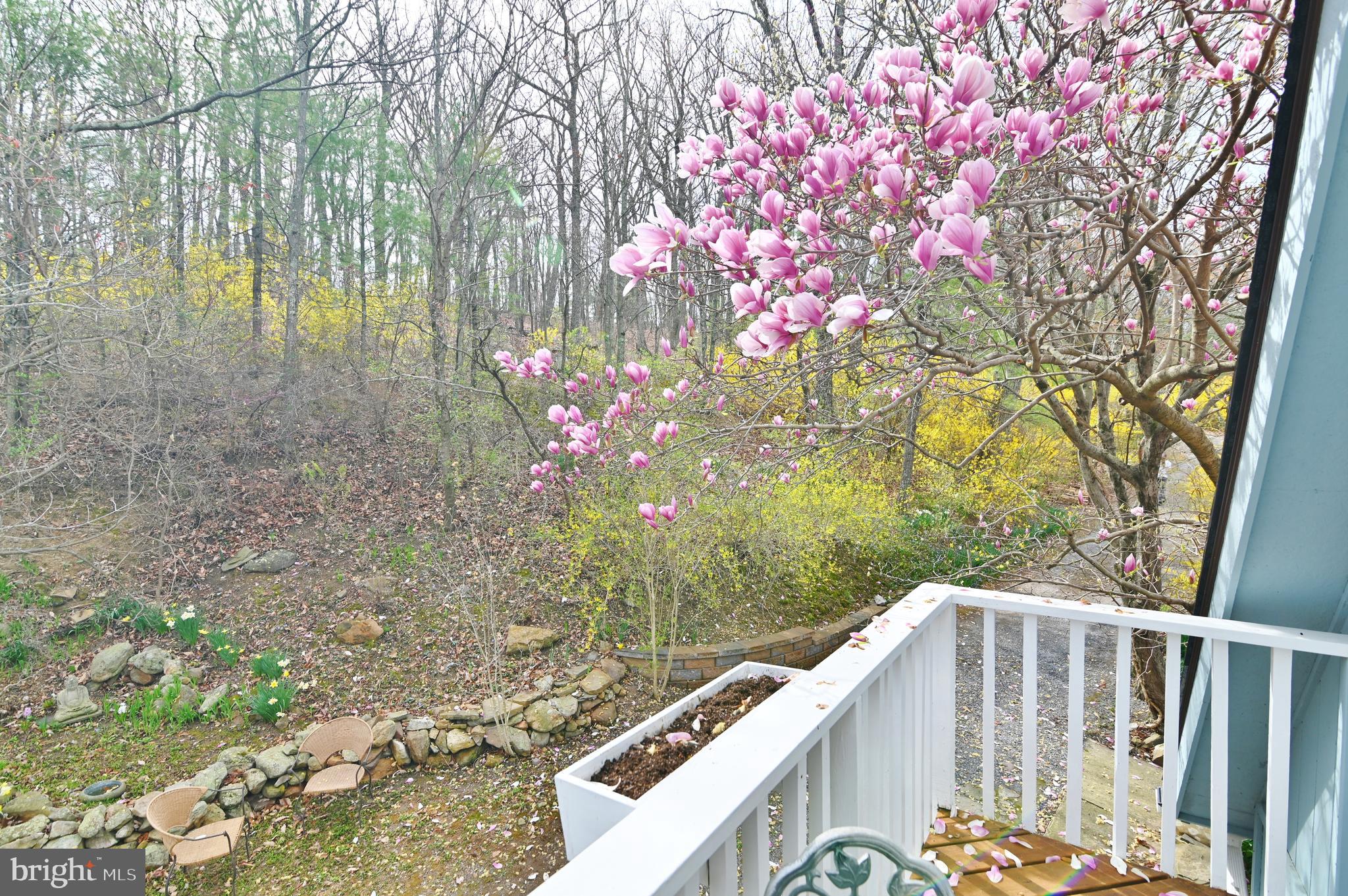 SUNSET RIDGE - Residential