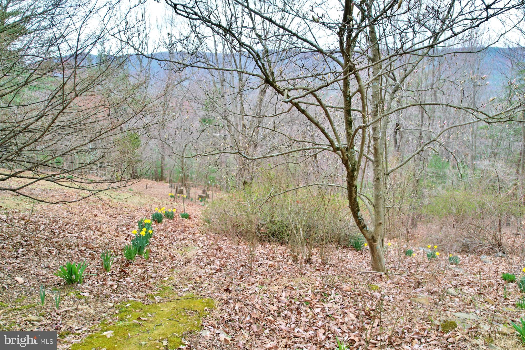 SUNSET RIDGE - Residential