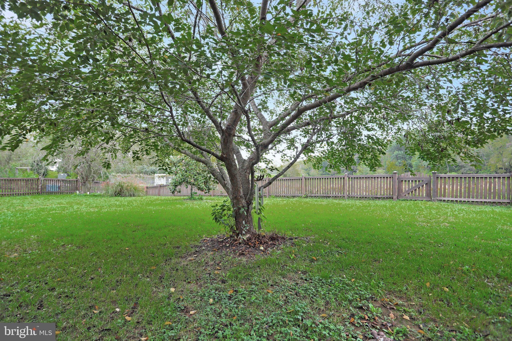 LIBERTY RUN - Residential