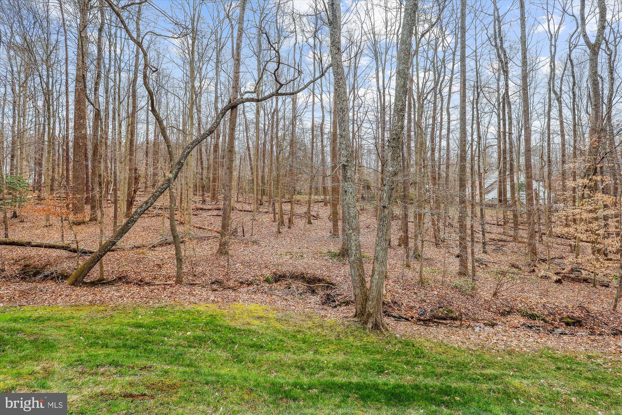 HAMPTON HILLS - Residential