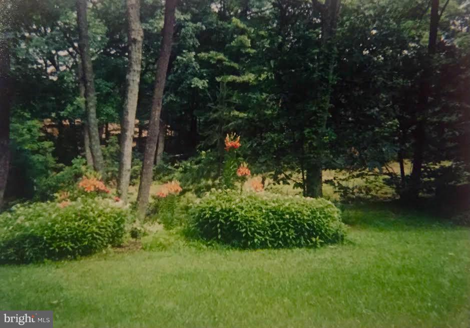 BEAR HOLLOW - Residential