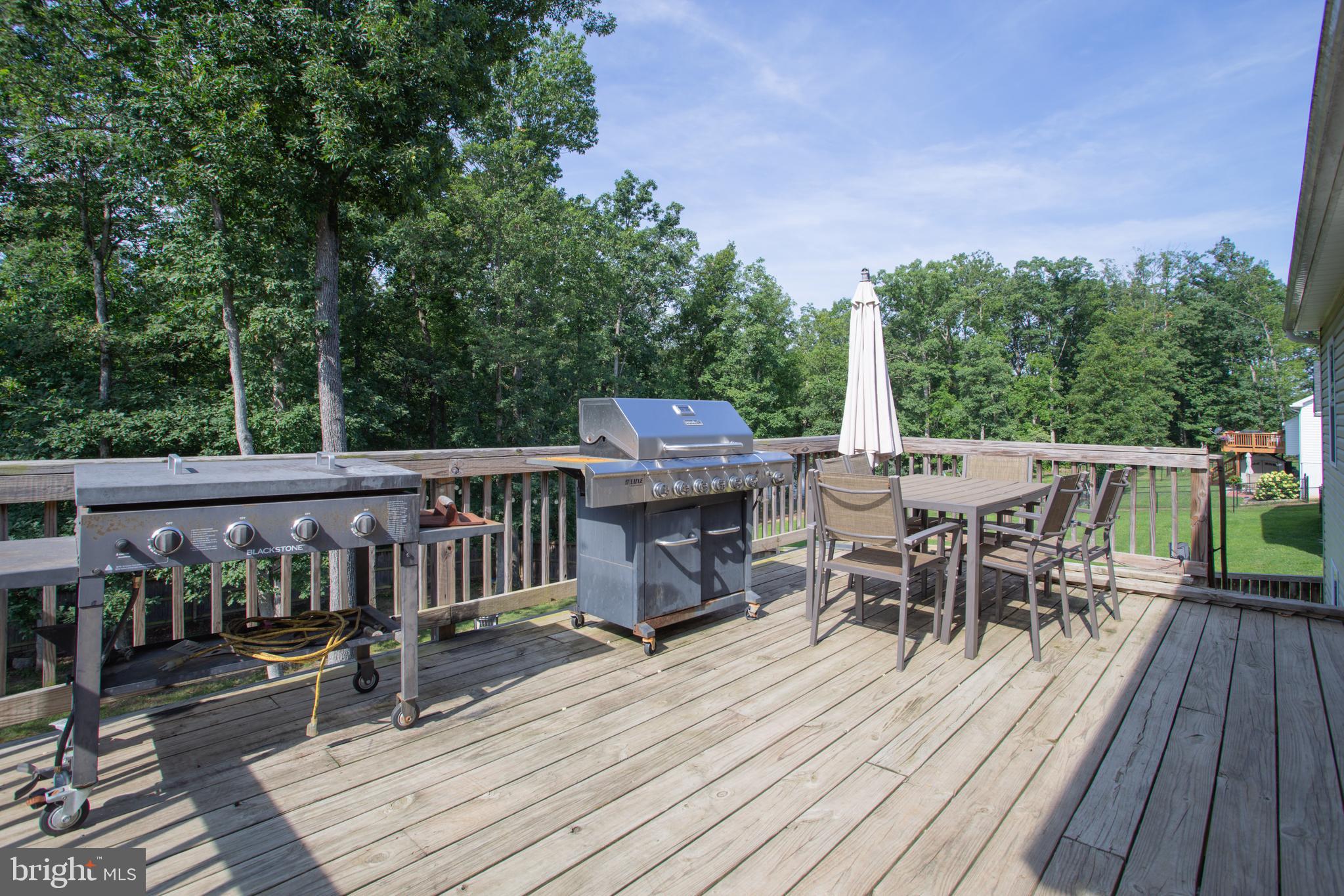 236 CATCH RELEASE COURT